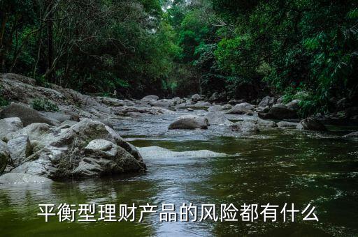 理才客戶(hù)風(fēng)險(xiǎn)平衡型是什么意思，平安銀行評(píng)估平衡型是什么意思