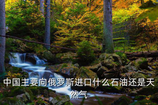 中國主要向俄羅斯進口什么石油還是天然氣