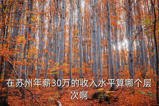 年薪三十萬元處于什么階層，在蘇州年薪30萬的收入水平算哪個層次啊