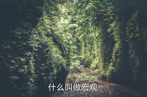 宏觀是指什么方面，什么叫做宏觀