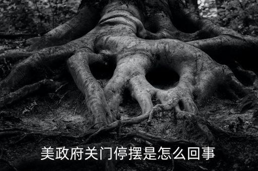為什么美國政府關(guān)門，美國國會(huì)為什么關(guān)門