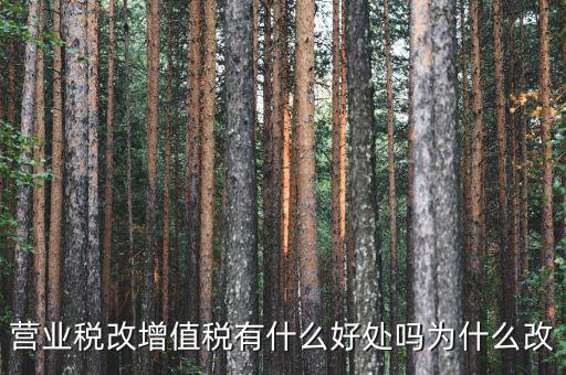 為什么營改增，營改增有什么意義和影響
