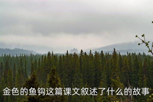 金這篇課文是一篇什么文，金子這篇課文使我們懂得了什么道理