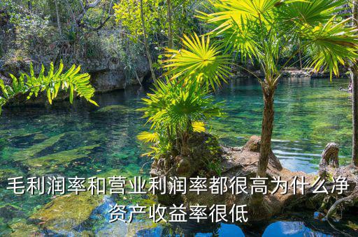 資產(chǎn)凈利率較低是為什么，為什么利潤率高資產(chǎn)收益率卻低