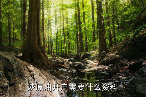 炒原油開(kāi)戶(hù)需要什么資料