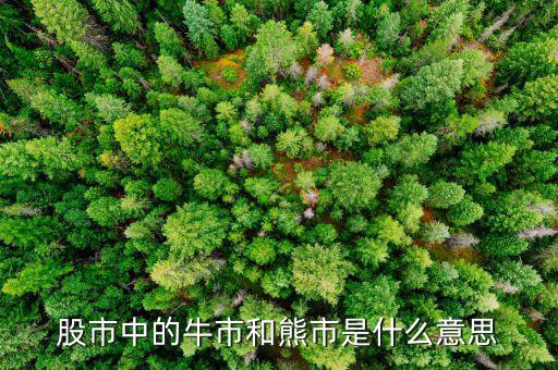 熊市的意思是什么，股市中的牛市和熊市是什么意思