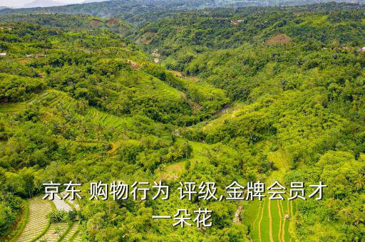 京東購物行為評(píng)級(jí)怎么看,購物行為評(píng)級(jí)越高成長(zhǎng)值越多