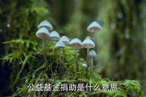 公益金是什么意思，公益基金捐助是什么意思