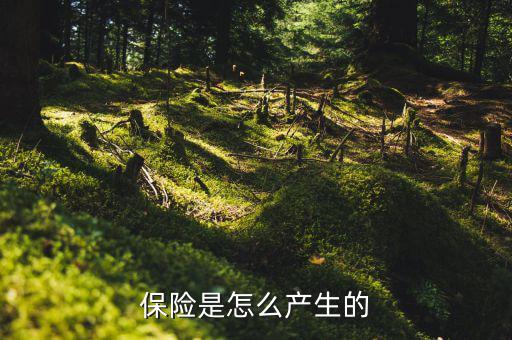 保險的原理是什么，保險是怎么產(chǎn)生的