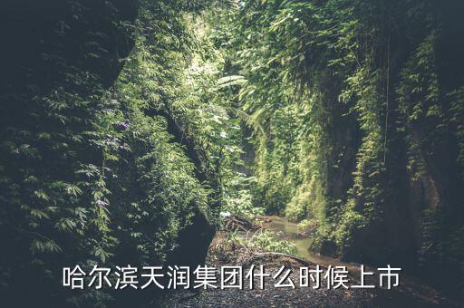 天潤(rùn)乳業(yè)什么時(shí)候上市，哈爾濱天潤(rùn)集團(tuán)什么時(shí)候上市