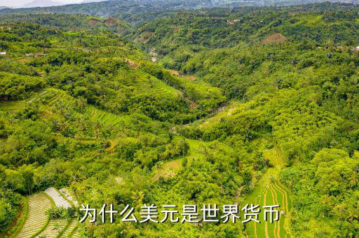 美元為什么是世界貨幣，為什么美元是世界貨幣