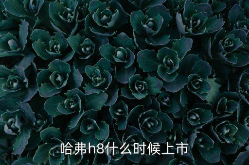 哈佛h8什么時(shí)候上市的，哈弗h8什么時(shí)候上市