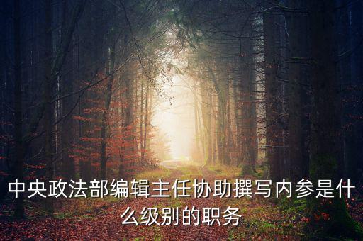 中央政法部編輯主任協(xié)助撰寫(xiě)內(nèi)參是什么級(jí)別的職務(wù)
