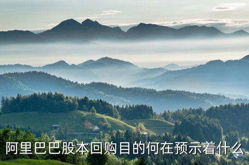 阿里巴巴為什么要回購雅虎股份，阿里巴巴為什么上市了又要退市還非要回購雅虎的股票這有什么用