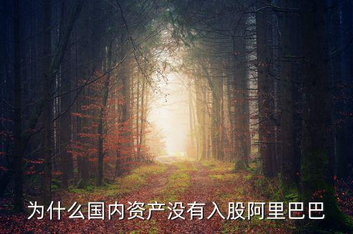 當(dāng)初為什么沒投阿里巴巴，為什么國內(nèi)資產(chǎn)沒有入股阿里巴巴