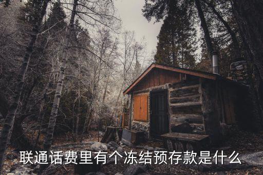 凍結(jié)預(yù)存款是什么意思，聯(lián)通話費(fèi)里有個(gè)凍結(jié)預(yù)存款是什么