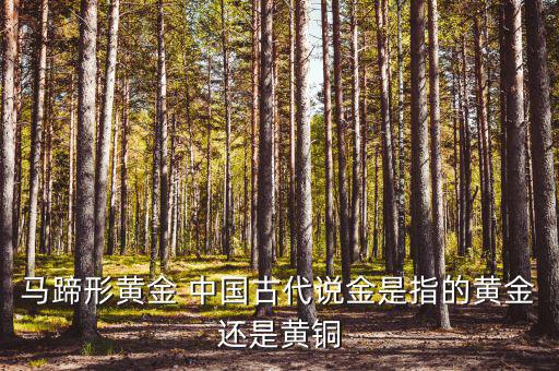 中國古代的黃金是什么，古代中國都使用了哪些金屬