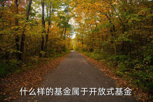 開放式基金是什么，什么叫做開放式基金