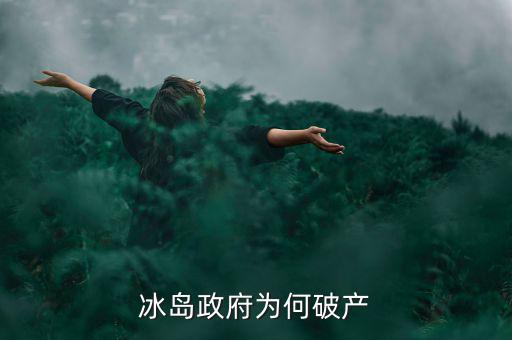 冰島為什么破產(chǎn)，冰島政府為何破產(chǎn)
