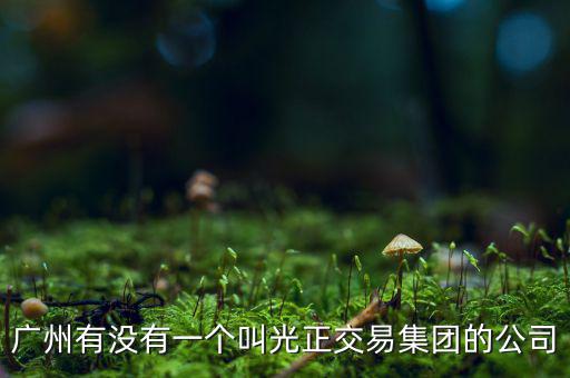 光正集團股票公司主要生產(chǎn)什么，光正集團股票是做什么板塊的
