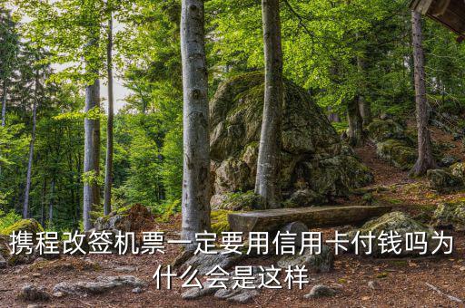 攜程為什么航班改簽，攜程訂了機(jī)票為什么不能改簽
