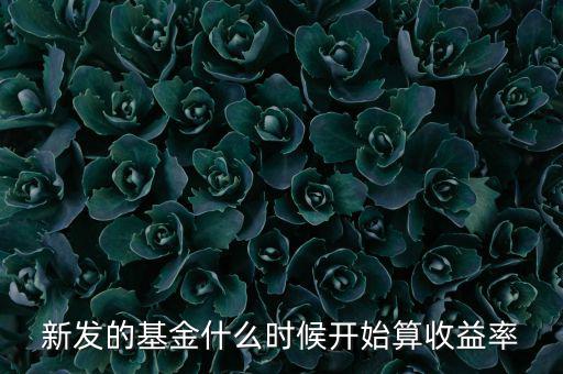 新發(fā)的基金什么時候開始算收益率