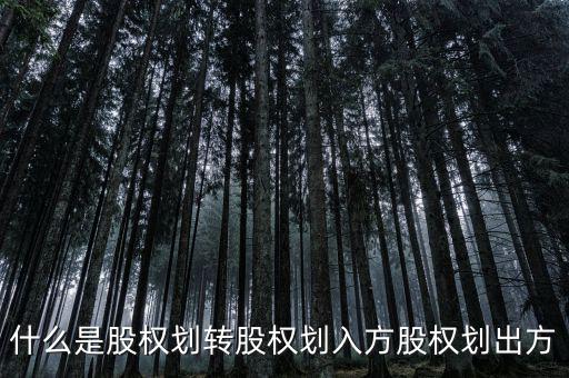 劃轉(zhuǎn)是什么意思，什么是股權(quán)劃轉(zhuǎn)股權(quán)劃入方股權(quán)劃出方