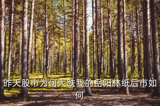 岳陽林紙為什么停牌，誰能告訴我這是怎么回事是停牌了嗎
