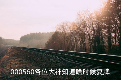 荃銀高科什么時候復(fù)牌，000560各位大神知道啥時候復(fù)牌