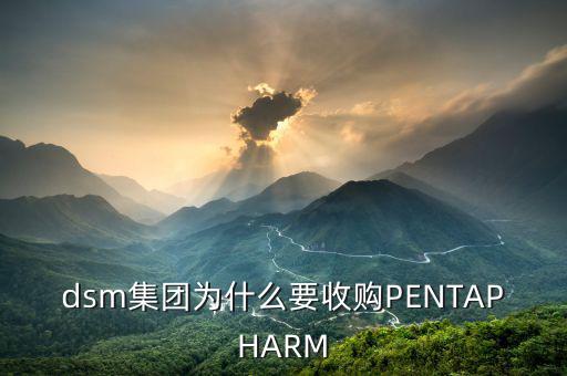 喜游國際被什么公司并購，DSM據(jù)說收購了一個特牛的公司是什么大家有知道的嗎