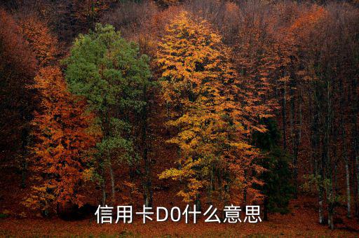 預(yù)付卡的贖回是什么意思，信用卡D0什么意思