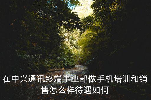 在中興通訊終端事業(yè)部做手機(jī)培訓(xùn)和銷(xiāo)售怎么樣待遇如何