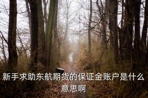 金保證財(cái)富管理和東航什么關(guān)系，國(guó)鼎旗下的可溯貸資金安全嗎