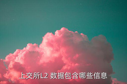 股票l2什么意思，股票標(biāo)示 融 深股通 L1是什么意思