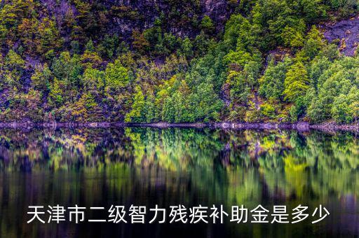 天津市對(duì)二級(jí)殘疾人有什么補(bǔ)助，二級(jí)殘疾人補(bǔ)助標(biāo)準(zhǔn)