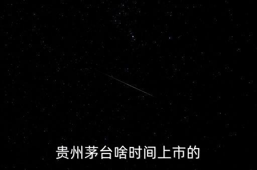 貴州茅臺什么時候上市，貴州茅臺啥時間上市的