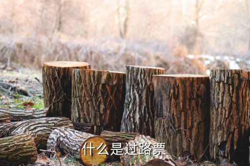 什么是過票行為，使用較消過的發(fā)票是什么行為