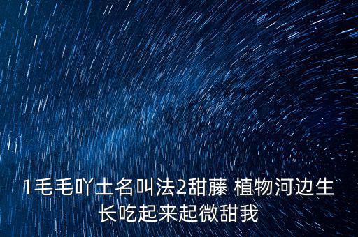 安徽有個什么林紙業(yè)，坐幾路公交車去安徽華泰林漿紙有限公司