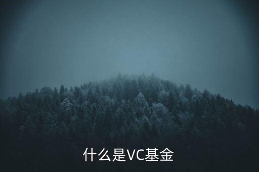 vc基金是什么，什么叫VC基金