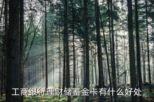 工商銀行理財(cái)儲蓄金卡有什么好處