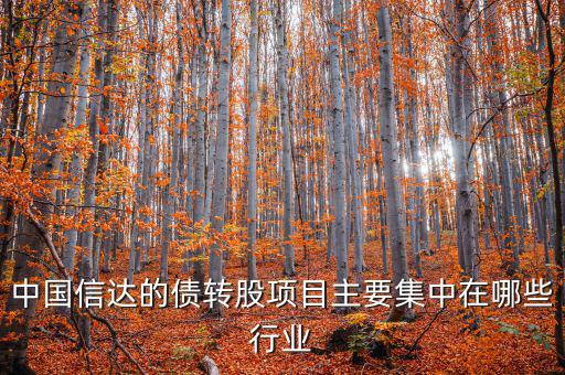 中國信達(dá)的債轉(zhuǎn)股項目主要集中在哪些行業(yè)