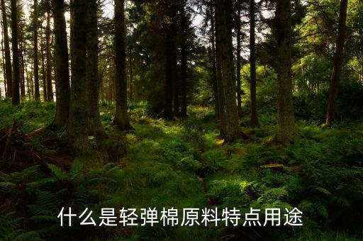 清彈棉是什么意思，彈棉花是什么意思