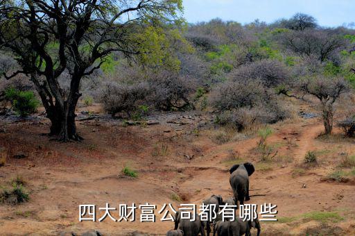 重啤集團(tuán)還有什么資產(chǎn)，四大財(cái)富公司都有哪些