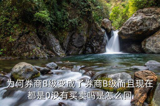 券商B級(jí)為什么賣不掉，證券b級(jí)怎么沒(méi)有交易