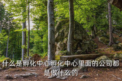 信隆實(shí)業(yè)是做什么的，什么是孵化中心孵化中心里面的公司都是做什么的