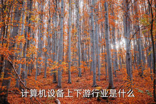 什么是計(jì)算機(jī)上游行業(yè)，軟件行業(yè)的上下游行業(yè)有哪些