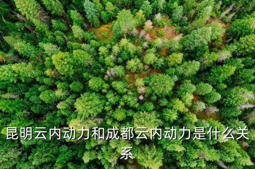 云南云內(nèi)動力是什么性質(zhì)，什么是云內(nèi)發(fā)動機