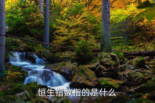恒生指數(shù)是由香港什么編制的，恒生指數(shù)指的是什么