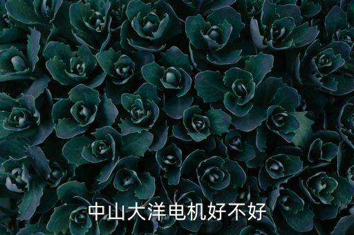 中山大洋電機屬于什么行業(yè)，中山大洋電機好不好