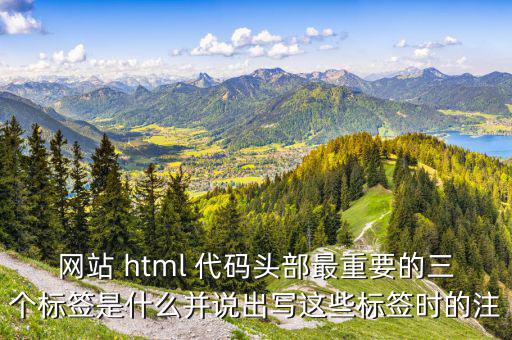 網(wǎng)站 html 代碼頭部最重要的三個標(biāo)簽是什么并說出寫這些標(biāo)簽時的注